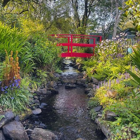 Streamside B And B With Parking Drimoleague Extérieur photo