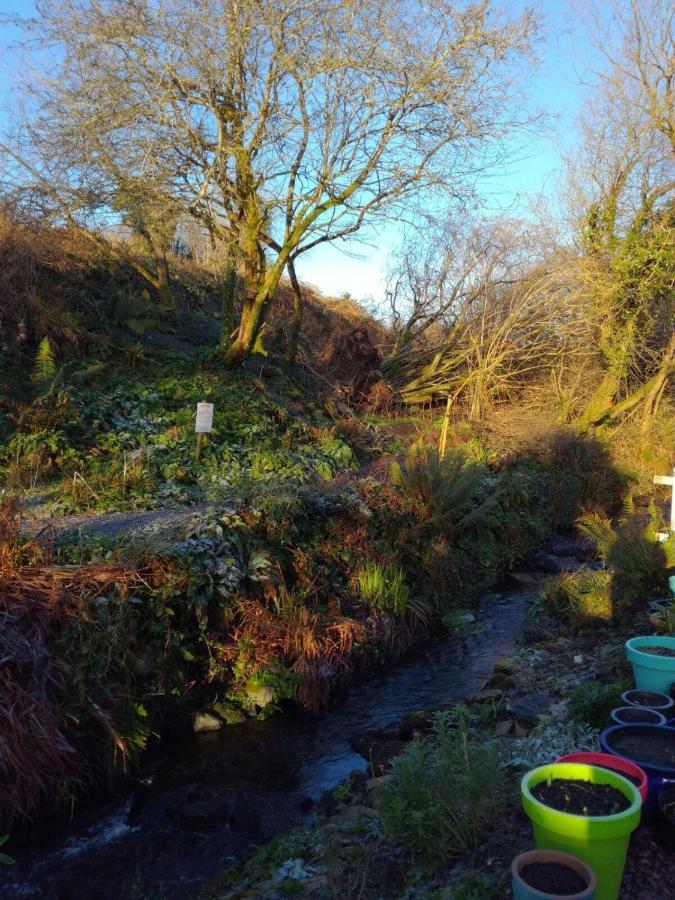 Streamside B And B With Parking Drimoleague Extérieur photo