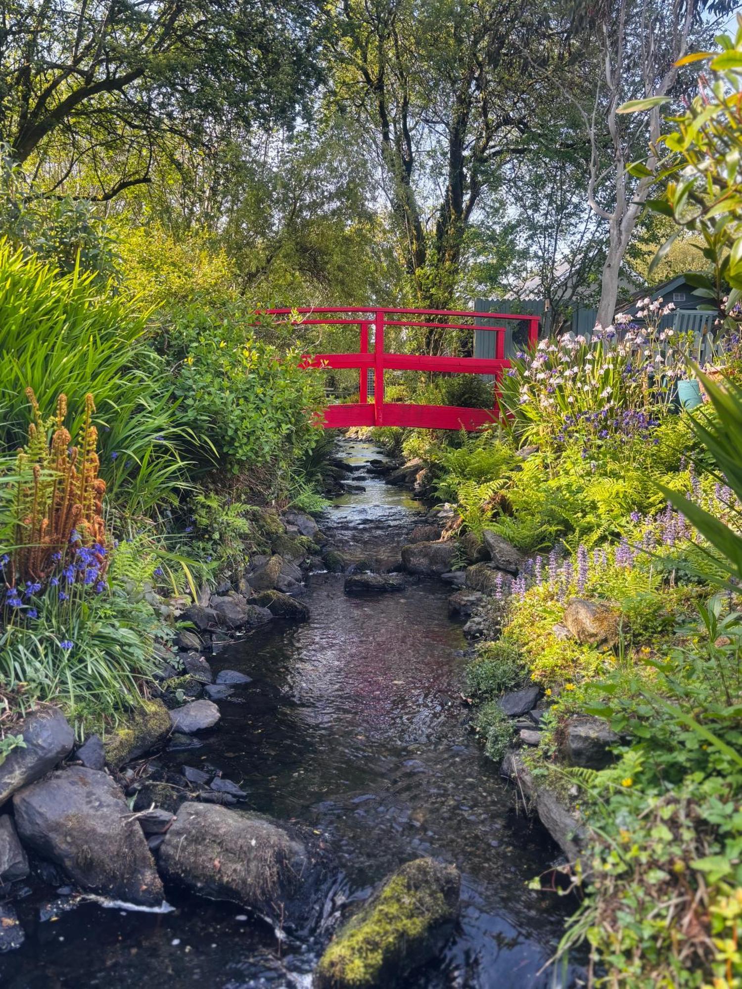 Streamside B And B With Parking Drimoleague Extérieur photo